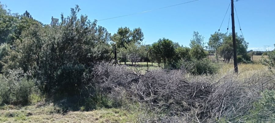 4 Bedroom Property for Sale in Ferreira Free State